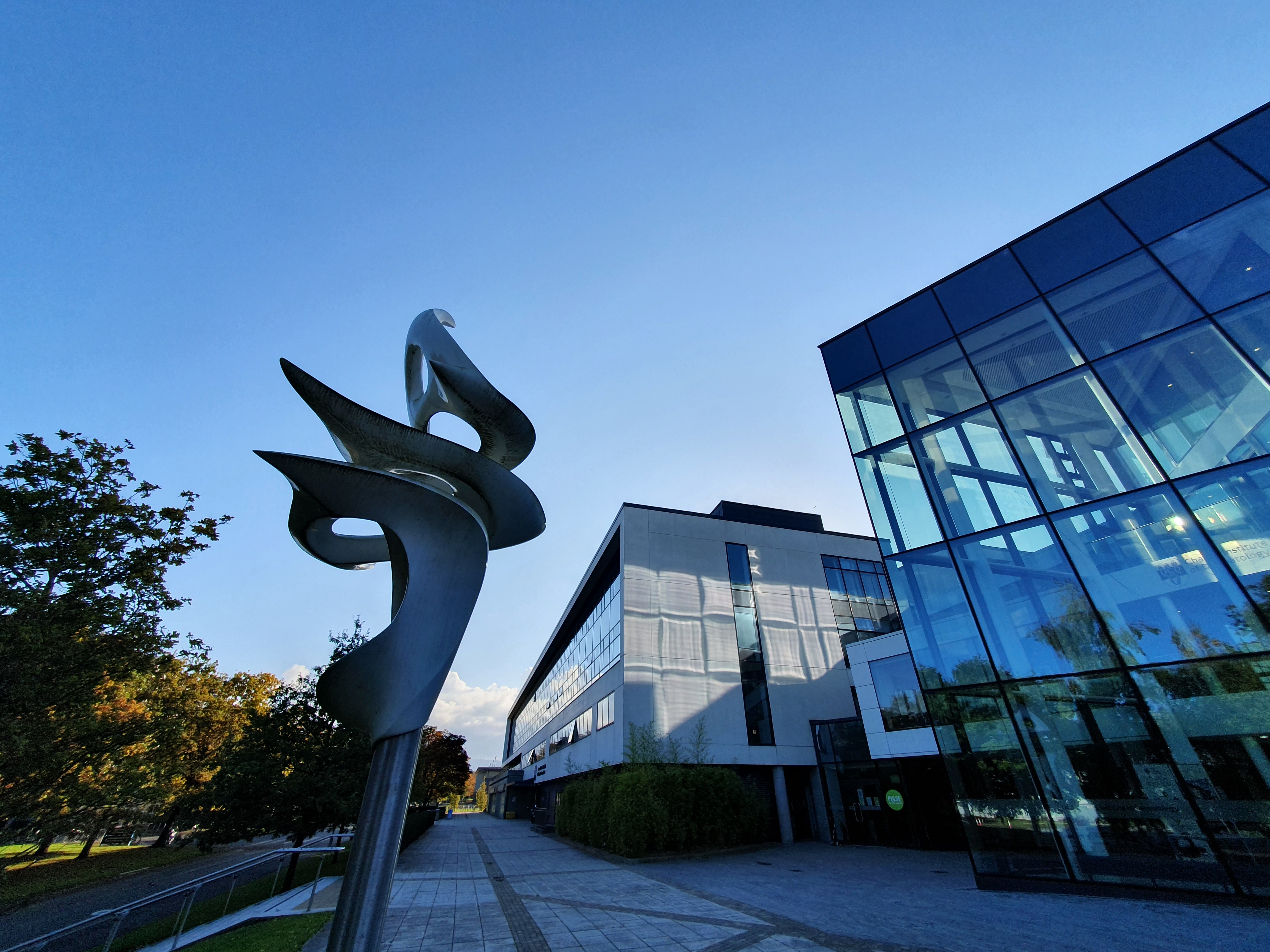School of MED